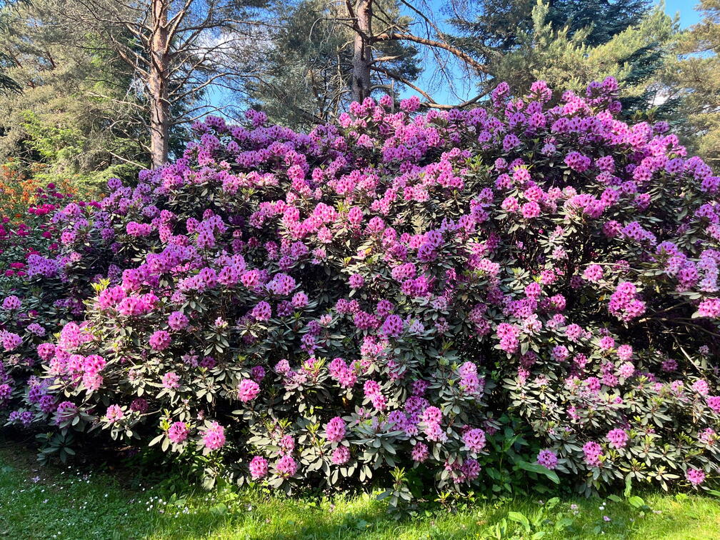 23-06-03 17-22-46 5824